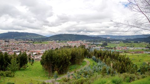 Sabana